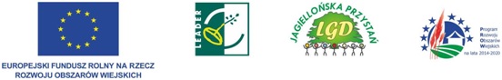 LGD stopka do informacji - logo