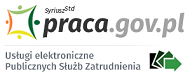 Usługi Elektroniczne Publicznych Służb Zatrudnienia